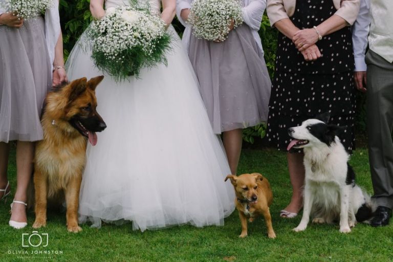 Stamford Wedding Photographer, The George Hotel Stamford, George Hotel Wedding Photographer, Wedding Photographer Lincolnshire