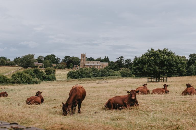 Yorkshire Wedding Photographer, Olivia Johnston Photography, Relaxed Wedding Photography